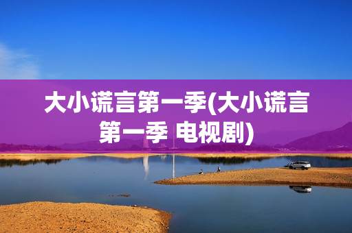 大小谎言第一季(大小谎言第一季 电视剧)