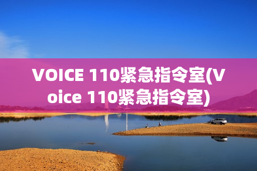 VOICE 110紧急指令室(Voice 110紧急指令室)