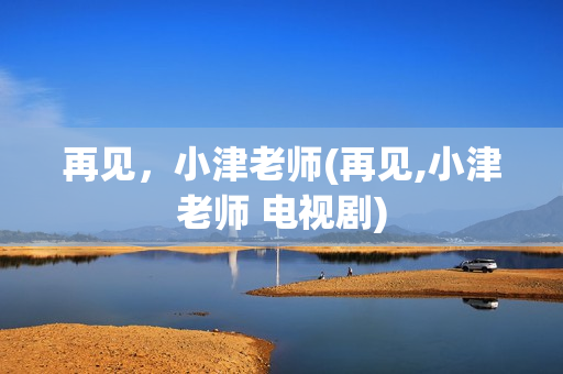 再见，小津老师(再见,小津老师 电视剧)