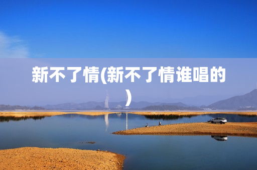 新不了情(新不了情谁唱的)