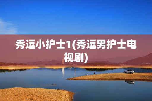 秀逗小护士1(秀逗男护士电视剧)