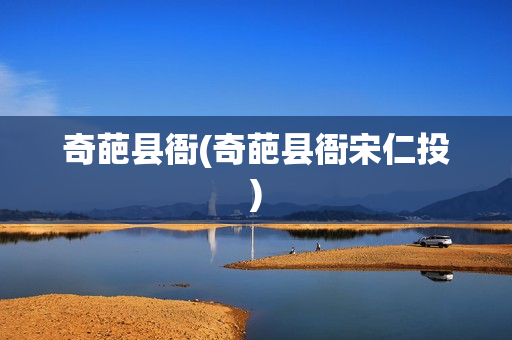 奇葩县衙(奇葩县衙宋仁投)