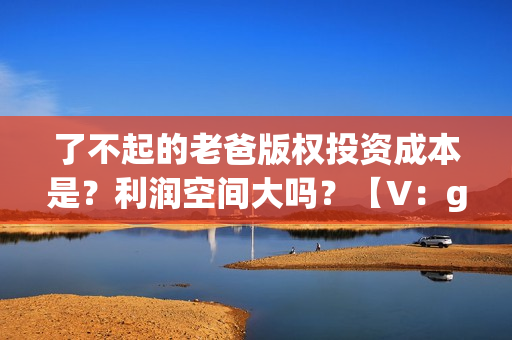 了不起的老爸版权投资成本是？利润空间大吗？【V：grey121415】(了不起的老爸ts版)