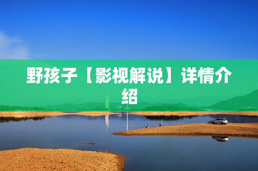 野孩子【影视解说】详情介绍