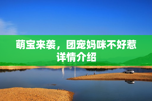 萌宝来袭，团宠妈咪不好惹详情介绍