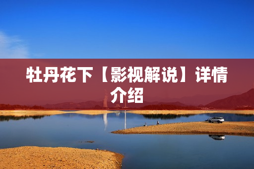 牡丹花下【影视解说】详情介绍