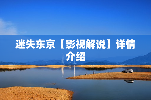 迷失东京【影视解说】详情介绍