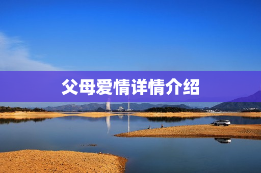 父母爱情详情介绍