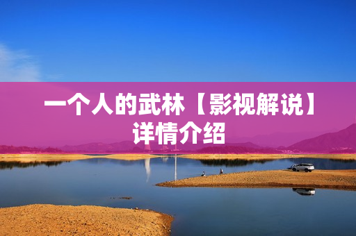 一个人的武林【影视解说】详情介绍
