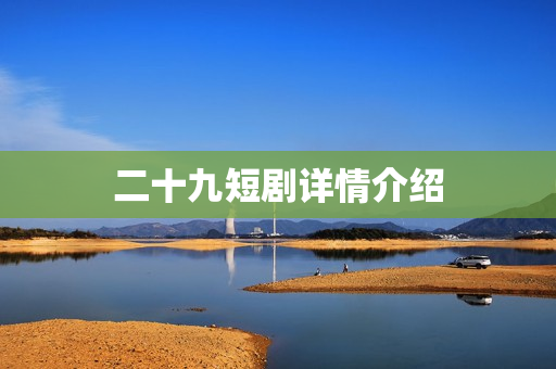 二十九短剧详情介绍