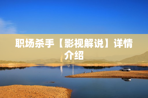 职场杀手【影视解说】详情介绍