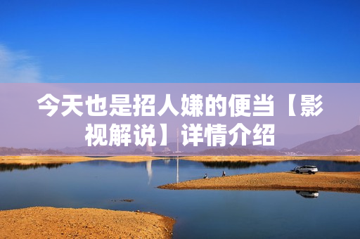 今天也是招人嫌的便当【影视解说】详情介绍