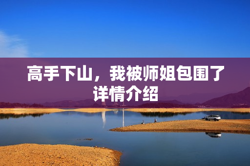 高手下山，我被师姐包围了详情介绍
