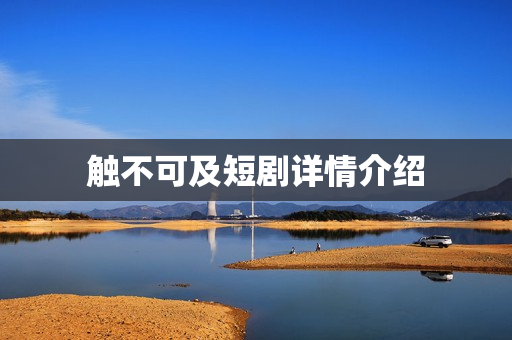 触不可及短剧详情介绍