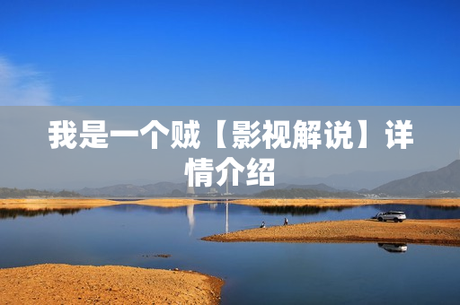 我是一个贼【影视解说】详情介绍