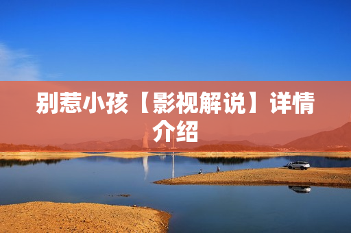 别惹小孩【影视解说】详情介绍