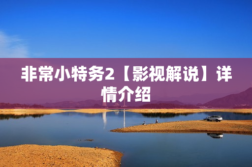 非常小特务2【影视解说】详情介绍