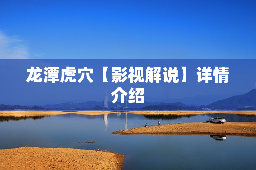 龙潭虎穴【影视解说】详情介绍