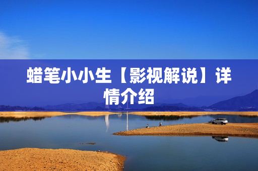 蜡笔小小生【影视解说】详情介绍