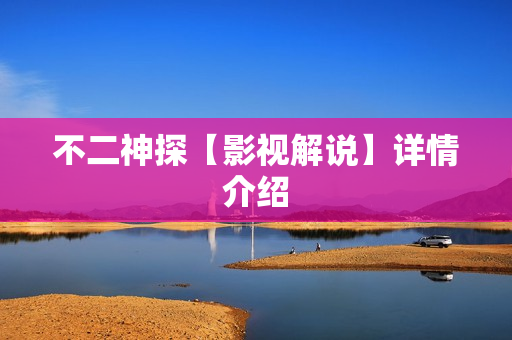 不二神探【影视解说】详情介绍