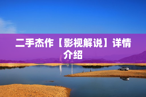 二手杰作【影视解说】详情介绍