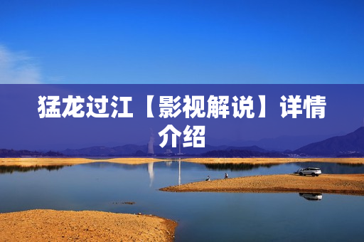 猛龙过江【影视解说】详情介绍