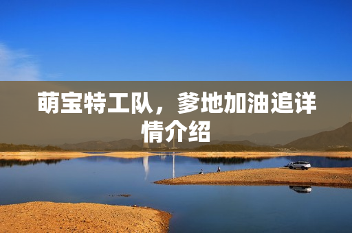 萌宝特工队，爹地加油追详情介绍