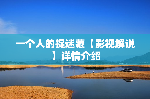 一个人的捉迷藏【影视解说】详情介绍