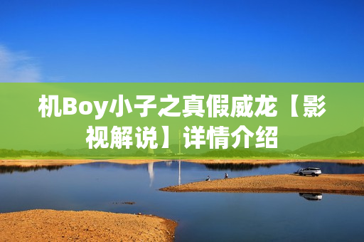 机Boy小子之真假威龙【影视解说】详情介绍