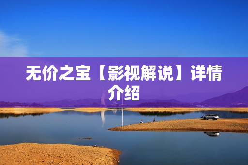 无价之宝【影视解说】详情介绍