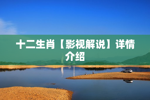 十二生肖【影视解说】详情介绍