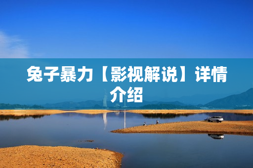 兔子暴力【影视解说】详情介绍