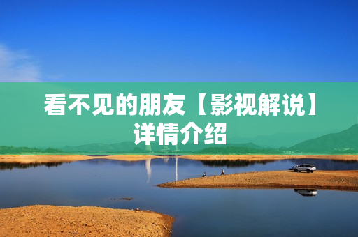 看不见的朋友【影视解说】详情介绍