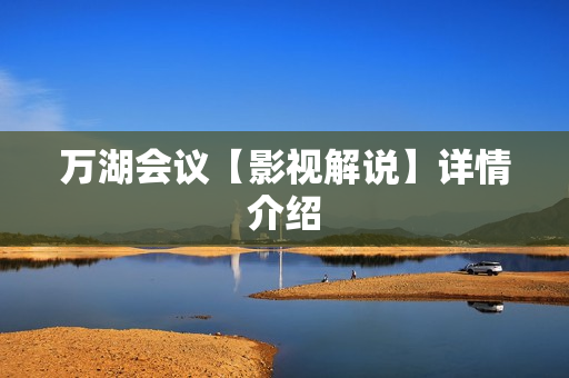 万湖会议【影视解说】详情介绍