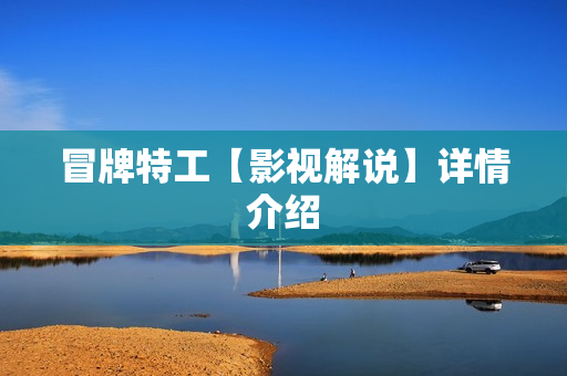 冒牌特工【影视解说】详情介绍