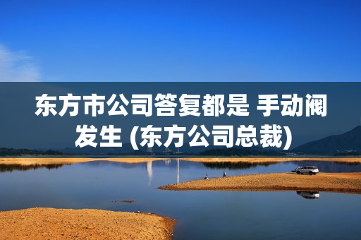 东方市公司答复都是 手动阀 发生 (东方公司总裁)