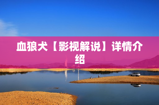 血狼犬【影视解说】详情介绍