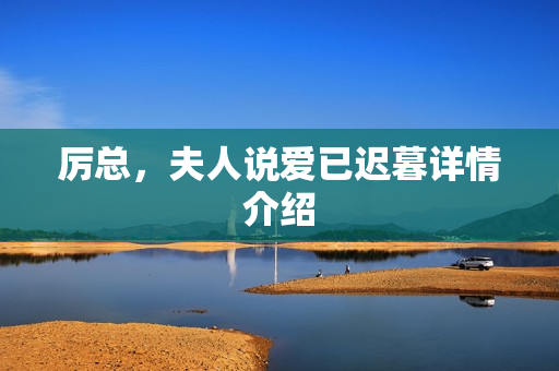 厉总，夫人说爱已迟暮详情介绍