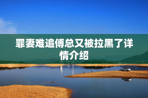 罪妻难追傅总又被拉黑了详情介绍