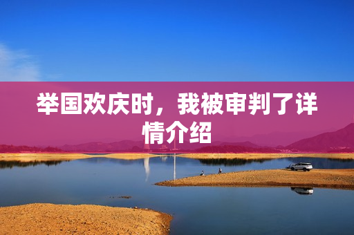 举国欢庆时，我被审判了详情介绍