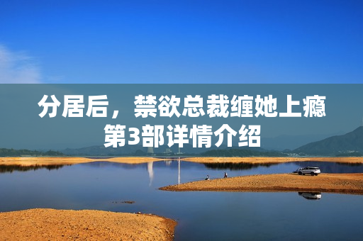 分居后，禁欲总裁缠她上瘾第3部详情介绍