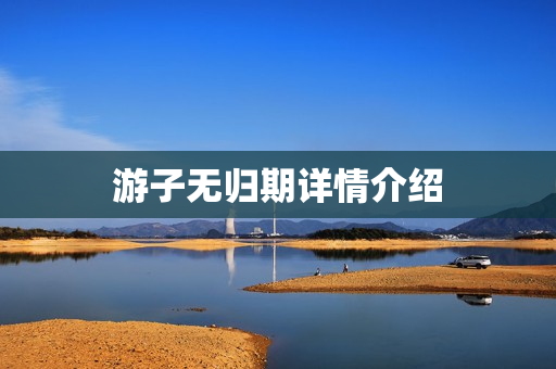 游子无归期详情介绍