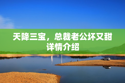 天降三宝，总裁老公坏又甜详情介绍