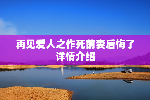 再见爱人之作死前妻后悔了详情介绍