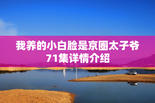 我养的小白脸是京圈太子爷71集详情介绍