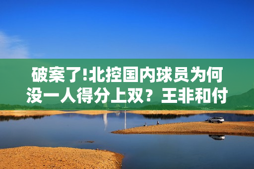 破案了!北控国内球员为何没一人得分上双？王非和付政浩道出原因