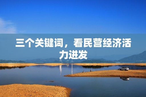 三个关键词，看民营经济活力迸发