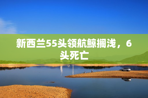 新西兰55头领航鲸搁浅，6头死亡