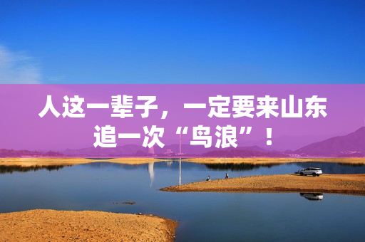 人这一辈子，一定要来山东追一次“鸟浪”！