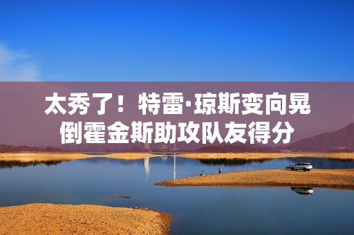 太秀了！特雷·琼斯变向晃倒霍金斯助攻队友得分